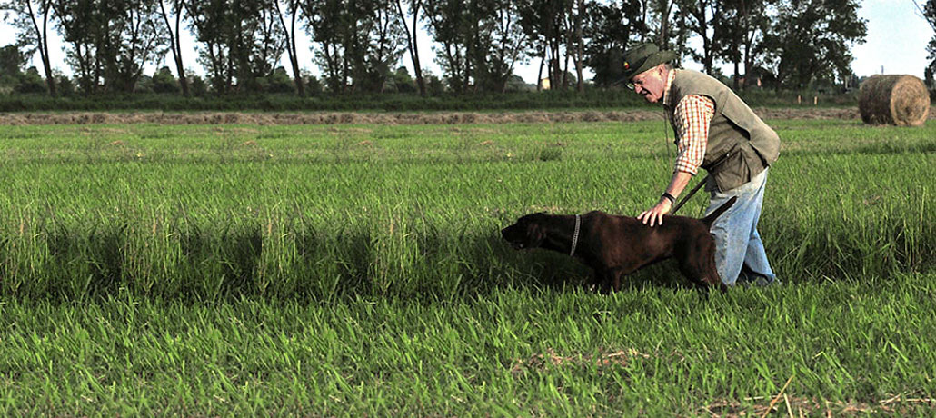 armeria_bonotti_addestramento_cane_da_caccia