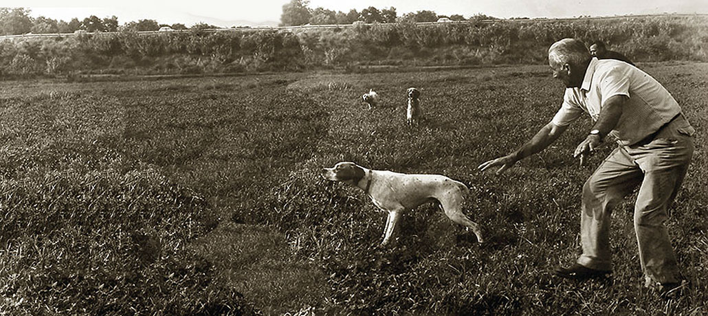 armeria_bonotti_addestramento_cane_da_caccia_massa_carrara